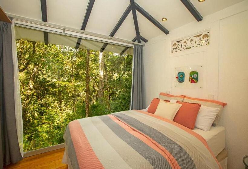 بنجلو قياسى غرفتين نوم, Dantica Cloud Forest Lodge