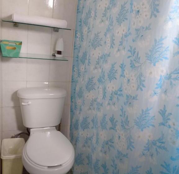 带大床的标准间, Casa Ixchel   450m To Downtown, Wifi, Hot Water, Ac