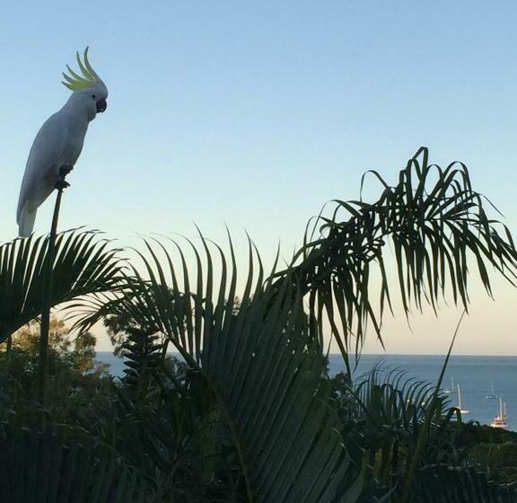 Студио Стандарт Кровать Кинг, Island Views