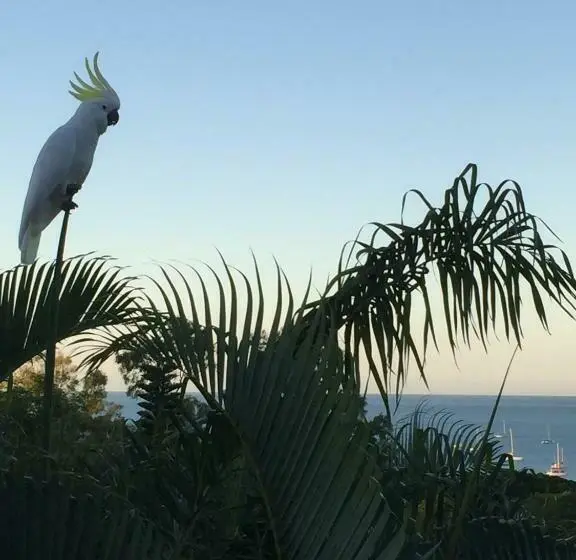 Standard-studio King-vuode, Island Views