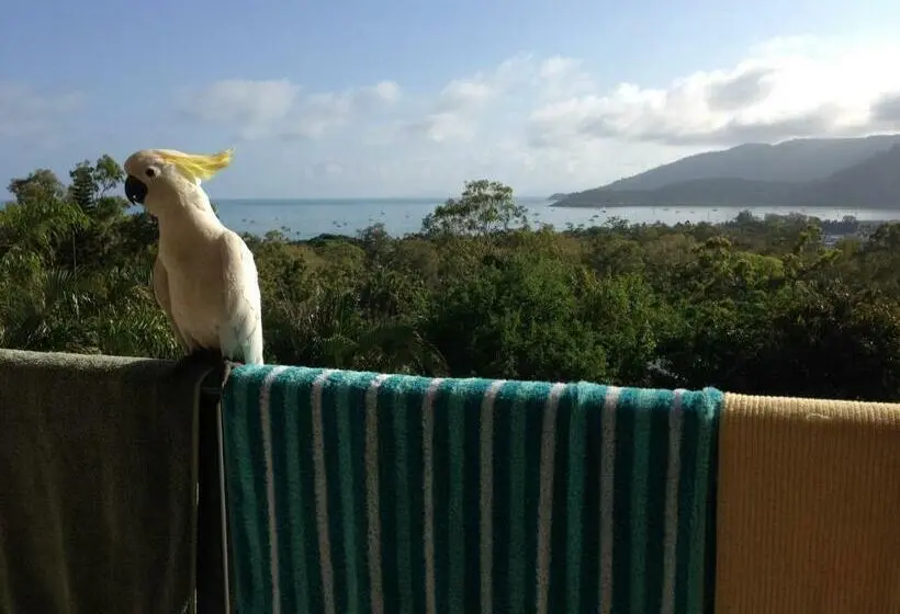 Standard-studio King-vuode, Island Views