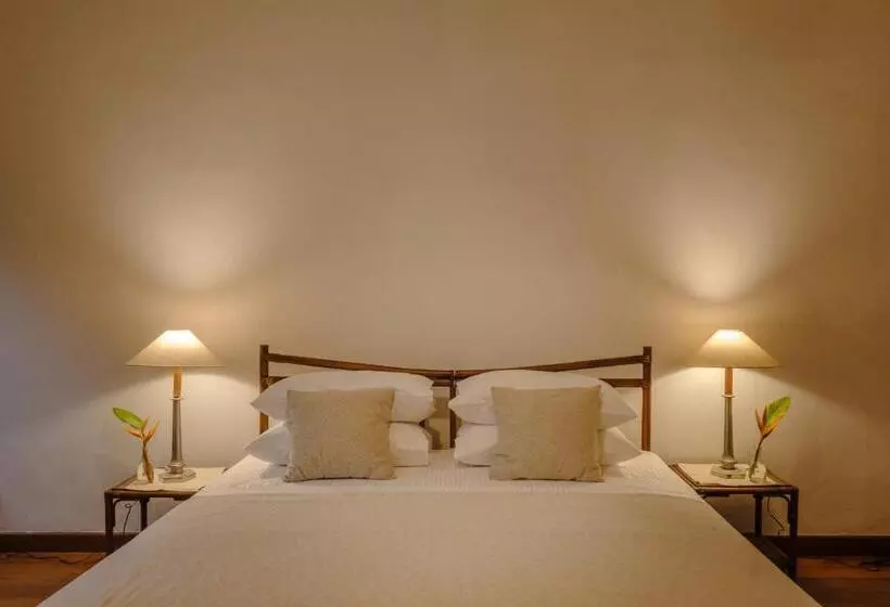 اتاق لوکس, Havelock Place Bungalow