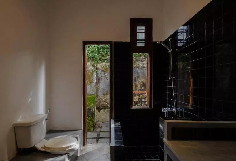 سوئیت پریمیوم, Havelock Place Bungalow
