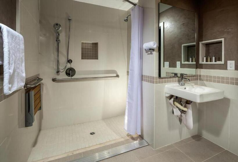 غرفة قياسية لذوى الاحتياجات الخاصة, Aventura