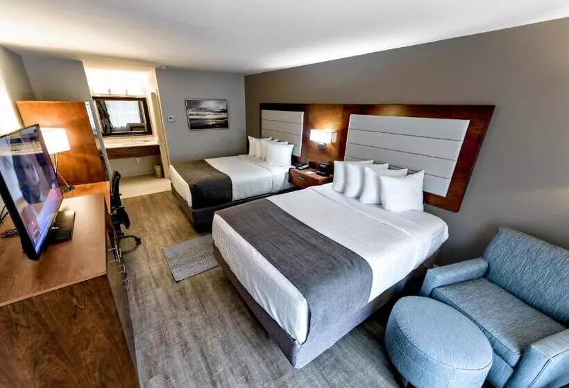 اتاق استاندارد, Spark By Hilton Hilton Head Island