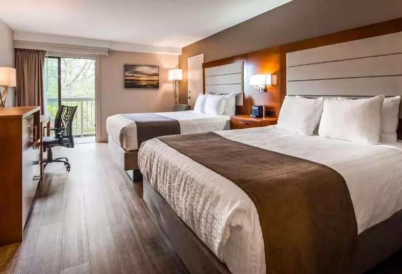 اتاق استاندارد, Spark By Hilton Hilton Head Island