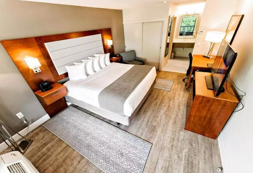 اتاق استاندارد با آشپزخانه, Spark By Hilton Hilton Head Island