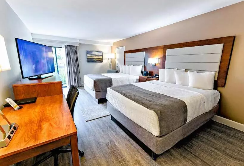 اتاق استاندارد با 2 تخت دوبل, Spark By Hilton Hilton Head Island