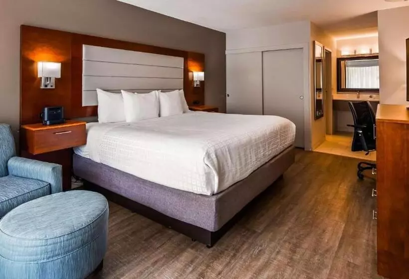 اتاق استاندارد با تخت بزرگ, Spark By Hilton Hilton Head Island