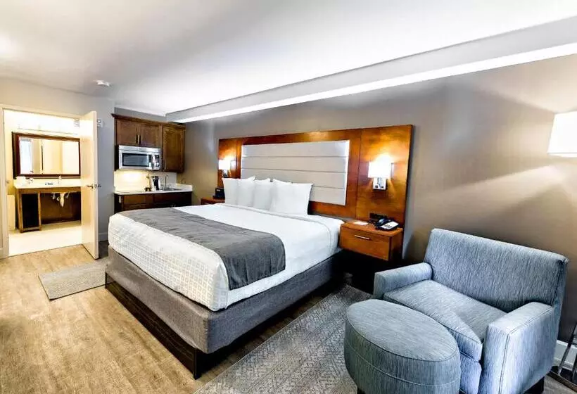 اتاق استاندارد با تخت بزرگ برای معلولان, Spark By Hilton Hilton Head Island