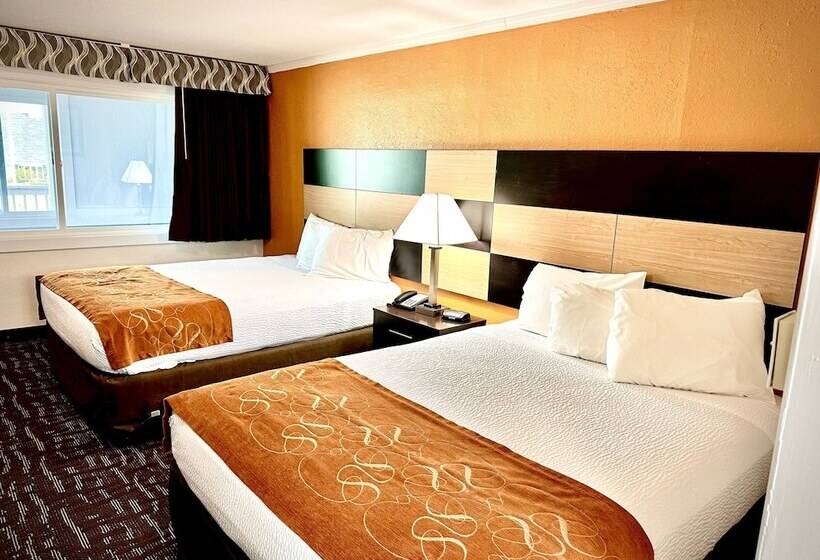 Номер Стандарт, Eastern Inn