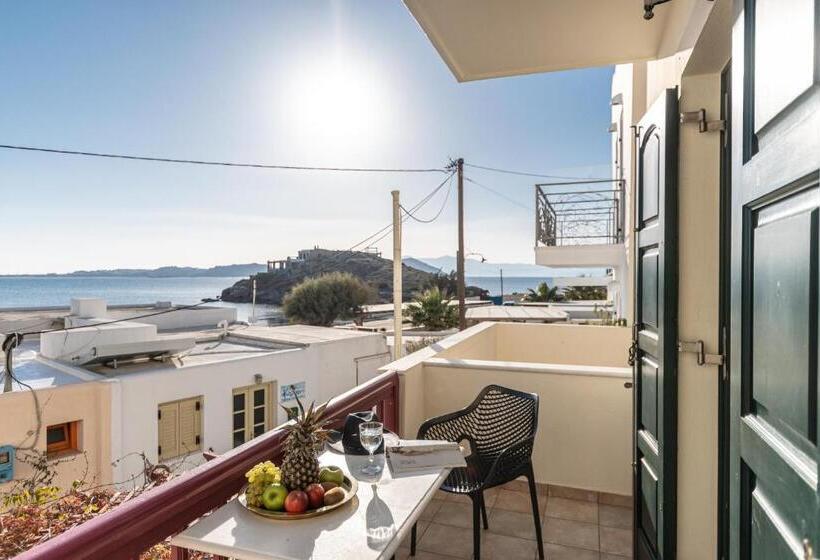 스탠다드 룸 바다 전망, Palatia