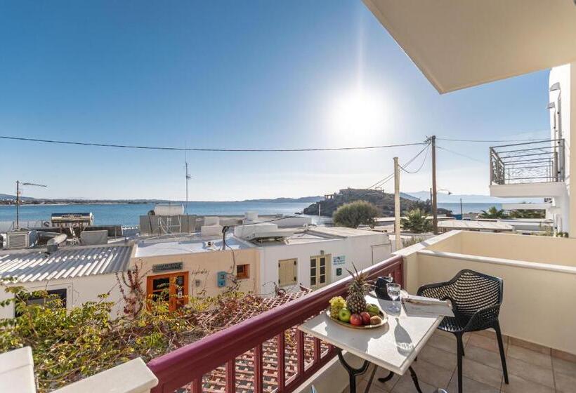 스탠다드 룸 바다 전망, Palatia