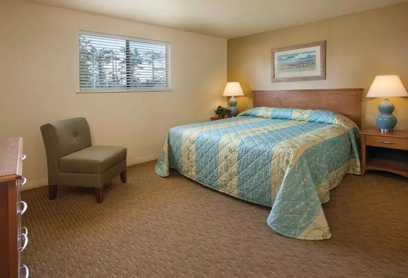 １ベッドルームアパートメント, Worldmark Surfside Inn