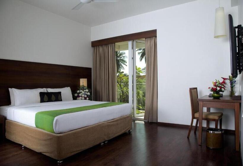 标准房带园景, Temple Tree