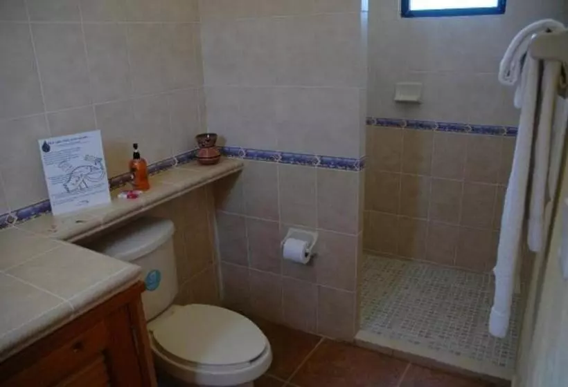 プレミアムルーム, Margarita Del Sol Hotel Costa Maya