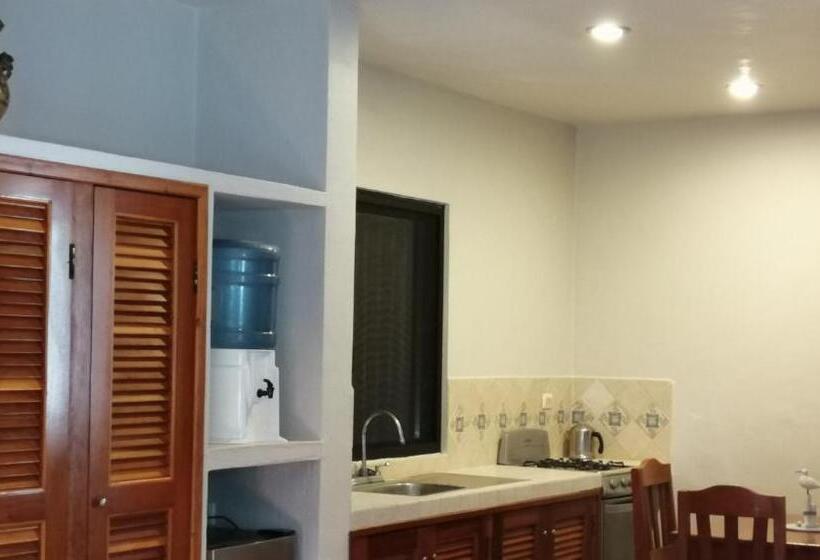 프리미엄 룸, Margarita Del Sol Hotel Costa Maya