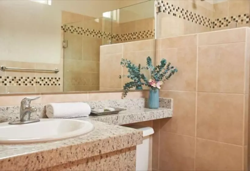 デラックスルーム, San Pietro Hotel Boutique