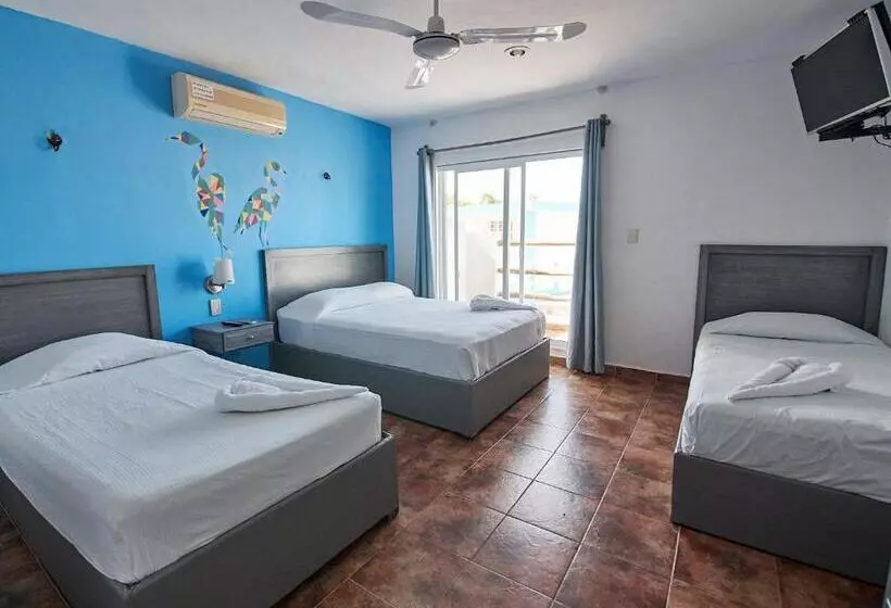 スタンダード4人部屋, Tabasco Rio