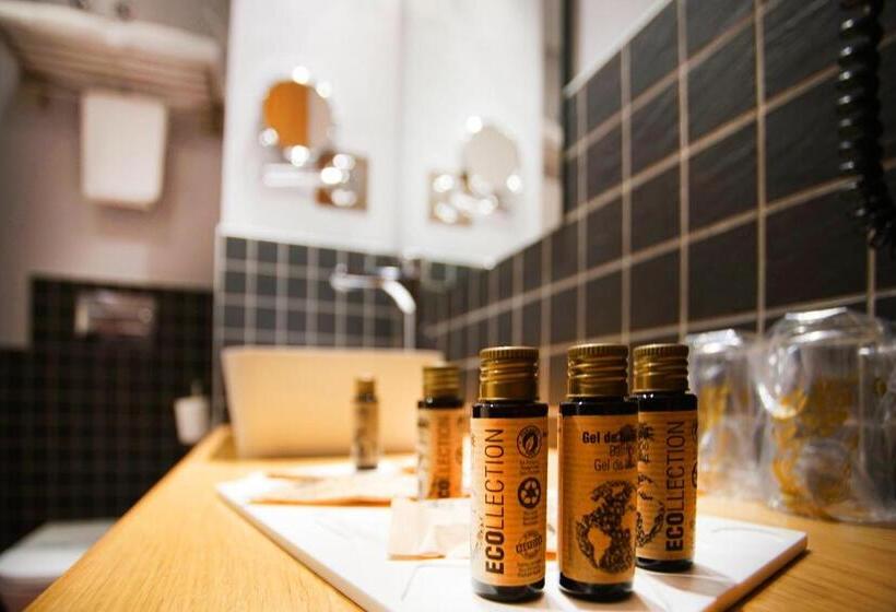 غرفة قياسية مطلة على المدينة, Zenit El Coloquio