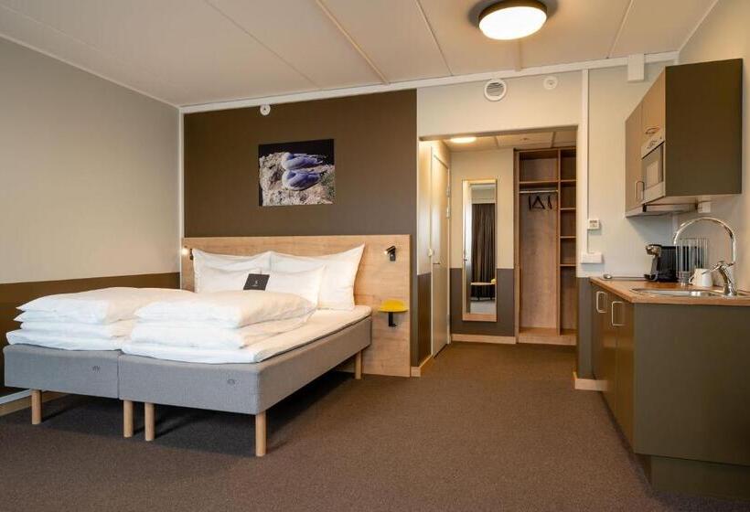إستوديو قياسى مطل على البحر, Smarthotel Hammerfest