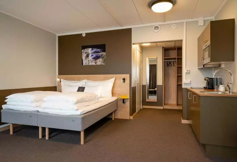 海の見えるスタンダードスタジオ, Smarthotel Hammerfest