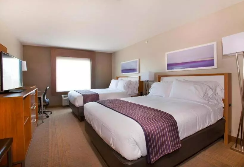 スタンダードルーム, Holiday Inn Express Hotel & Suites Hot Springs, An Ihg
