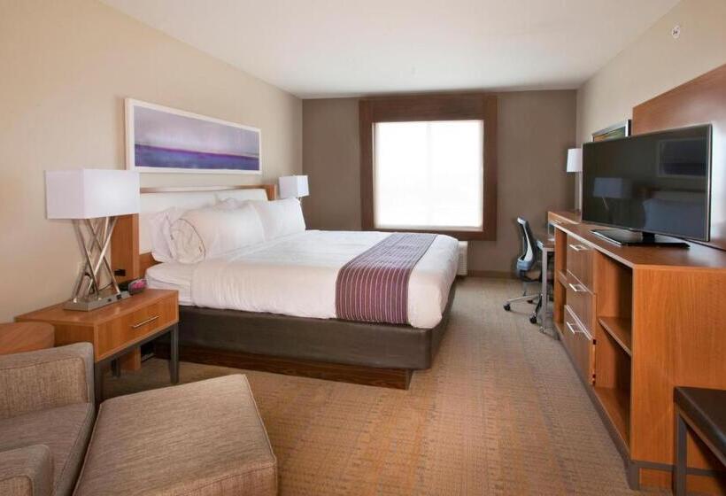 장애인을 위한 킹사이즈 침대 스탠다드 룸, Holiday Inn Express Hotel & Suites Hot Springs, An Ihg