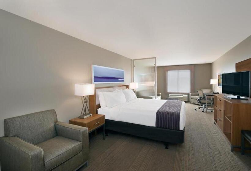 스위트 킹사이즈 침대, Holiday Inn Express Hotel & Suites Hot Springs, An Ihg