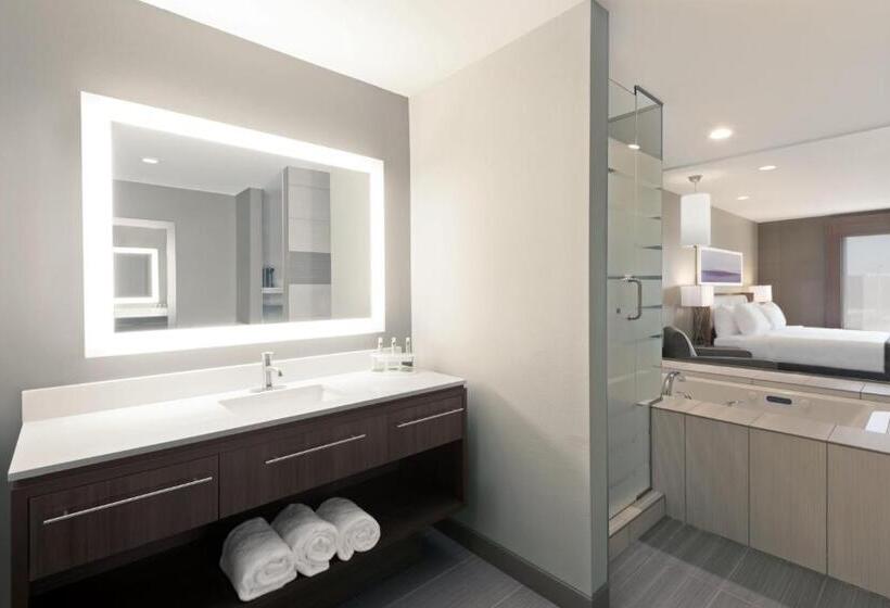 غرفة قياسية سرير كينج, Holiday Inn Express Hotel & Suites Hot Springs, An Ihg