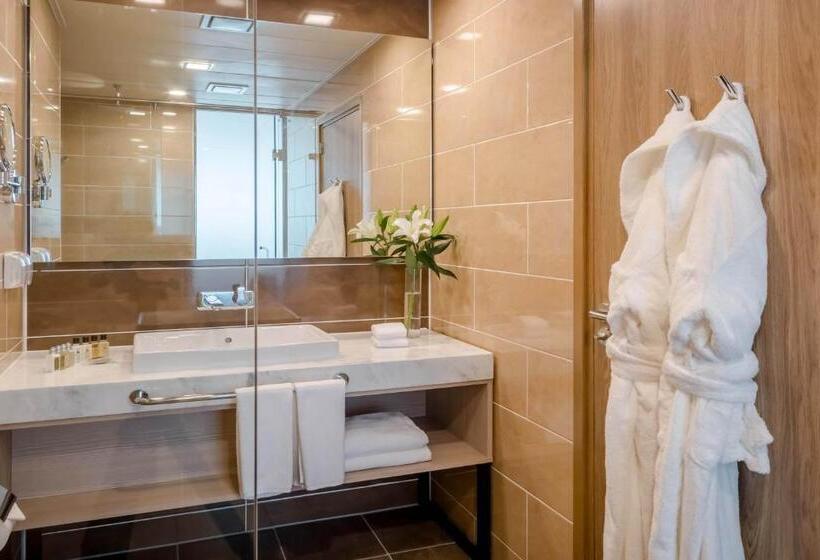 اتاق استاندارد با تخت بزرگ, Holiday Inn Ulaanbaatar, An Ihg