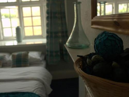 スタンダードルーム, The Bear Marlborough