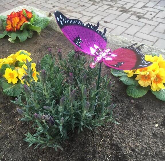 Хижина, Newsham Grange Farm