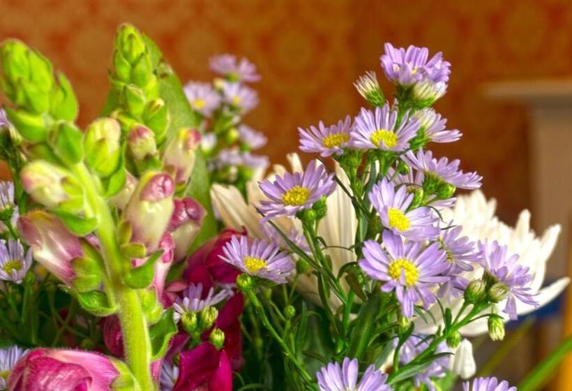 חדר סטנדרט, Arrandale Guest House