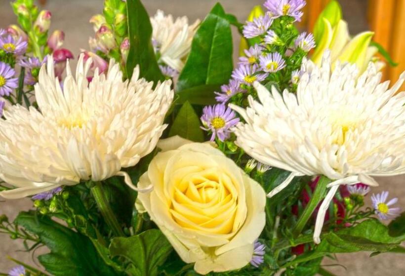 חדר משפחתי, Arrandale Guest House