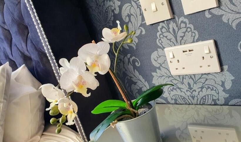 חדר סופריור יחיד, The Clifton