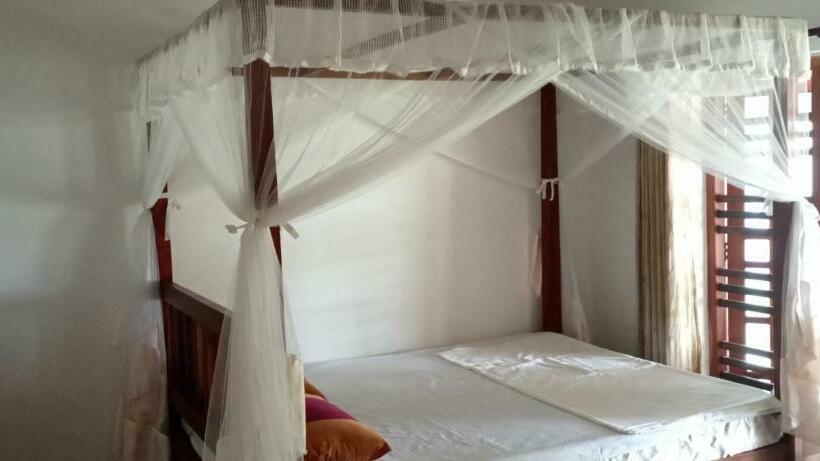 חדר דלוקס, Surf Forever