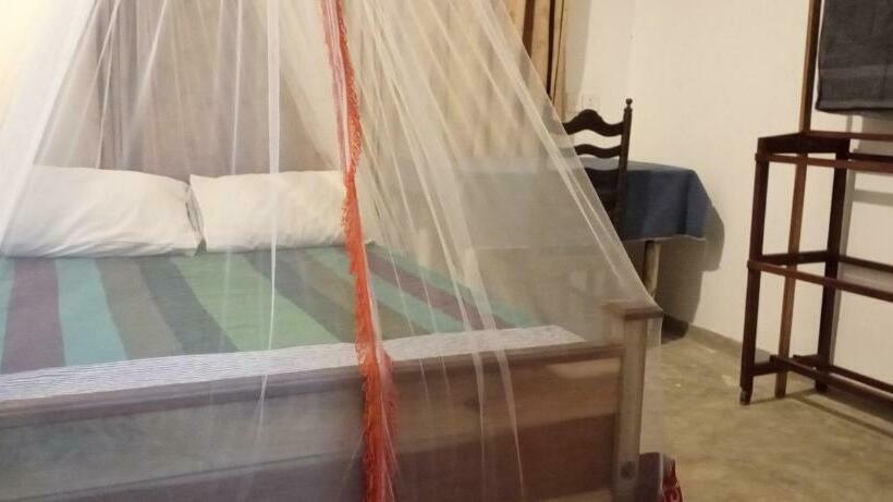 חדר אקונומי, Surf Forever