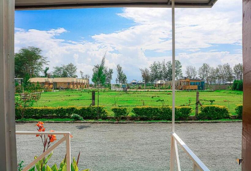 استودیوی لوکس, Lakewalk Cabin