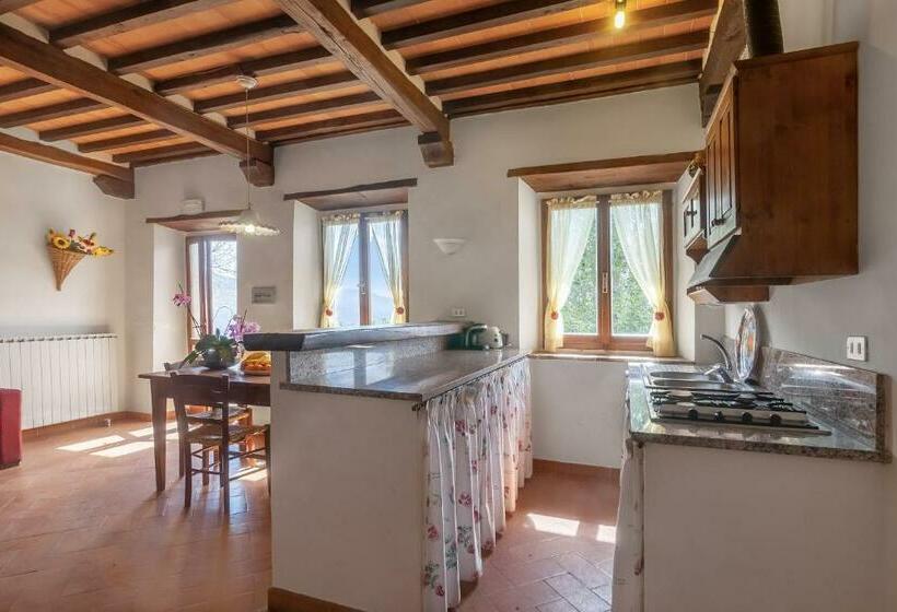 1ベッドルームアパートメント, Universal Harmony Usignolo