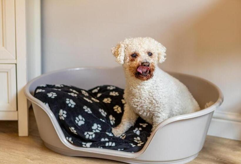 Chambre Supérieure Lit King Size, Bowness Guest House