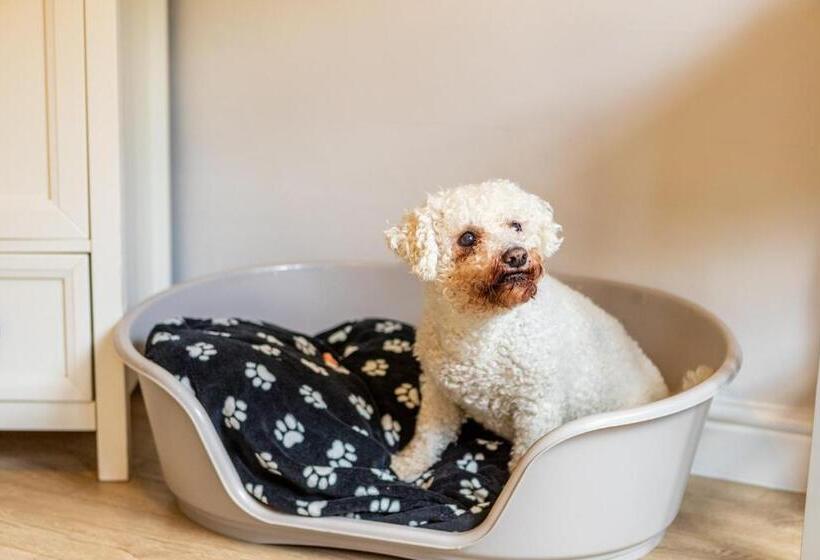 Chambre Supérieure Lit King Size, Bowness Guest House