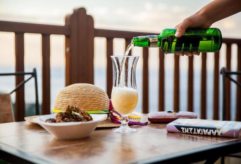 带1个卧室的高级公寓, Lions Nine