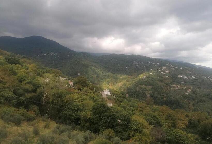 带1个卧室的公寓, Lions Nine