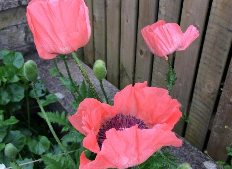 家庭间, Castlecroft Bed And Breakfast