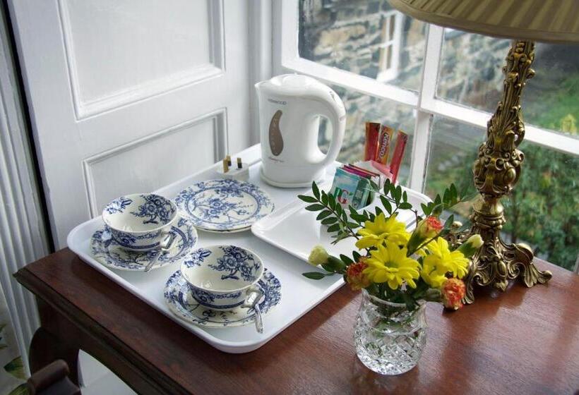 带大床的标准间, Plas Gwyn B&b And Holiday Cottage