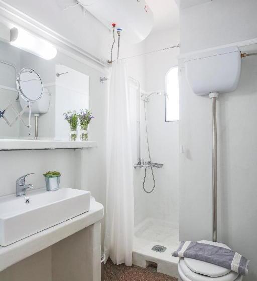 Номер Стандарт, Asteroa