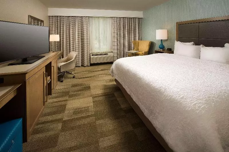 キングサイズベッドのスタンダードルーム, Hampton Inn & Suites Syracuse/carrier Circle