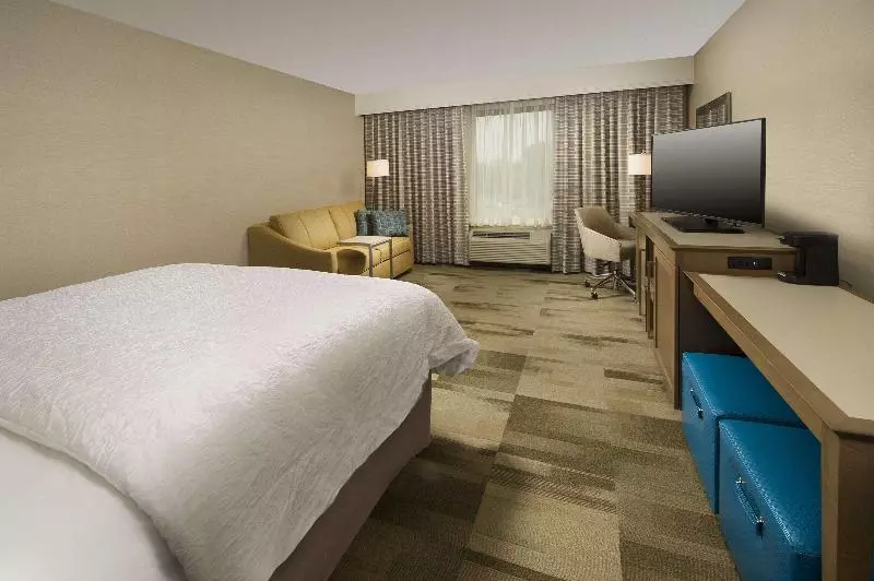 キングサイズベッドのスタンダードルーム, Hampton Inn & Suites Syracuse/carrier Circle