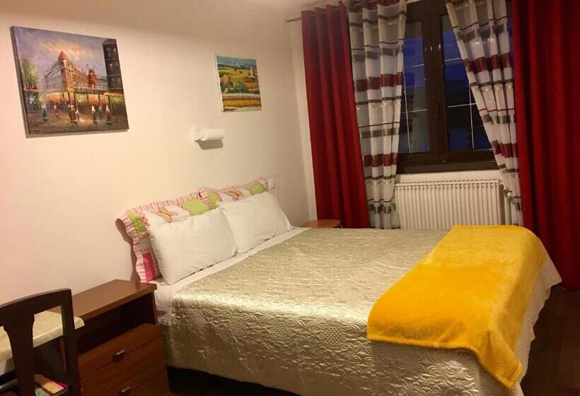 스탠다드 룸, Paris Star